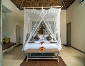 Atta Mesari Villas