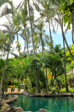 Coral View Villas