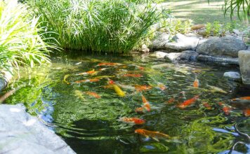 Hoang Ngoc Resort (Oriental Pearl)