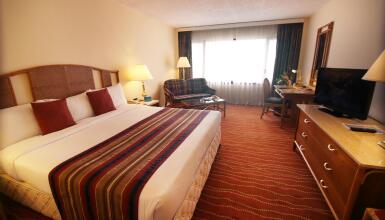 The Galadari Hotel