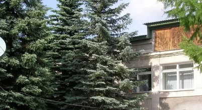 Голубые Ели, фото 27