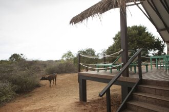 Jetwing Safari Camp - All Inclusive
