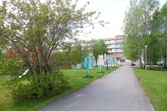 Karagajskij bor, фото 22 Karagajskij bor, фото 22