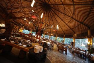 Mara River Safari Lodge Bali
