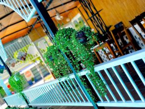 Lucky Phu Quoc Hotel