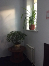 Восход, фото 136