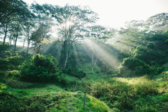 Amaya Hills Kandy