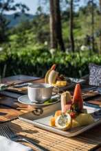 Goatfell Nuwara-Eliya