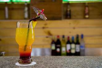 Red Fox Hotel, Morjim, Goa