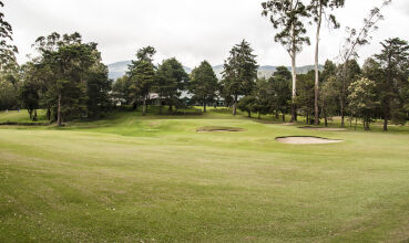 Oak Ray Summer Hill Breeze