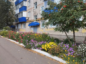 Bugulma Apartments, фото 63
