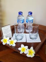 Hotel Puri Bambu