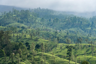 Langdale By Amaya Boutique Resort