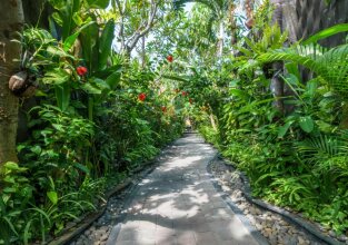 The Bali Dream Villa Seminyak