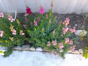V Gostyah U Natali Guest House, фото 24