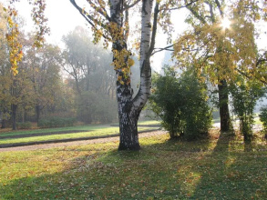 Дачи в Зеленогорске, фото 23