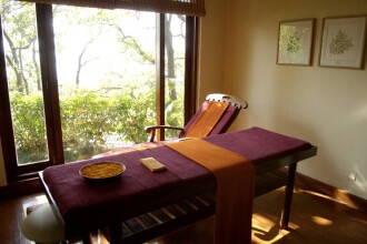 Ananda In The Himalayas