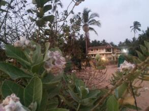Ivon Guest House, Arambol Beach