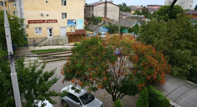 Druzya, фото 108
