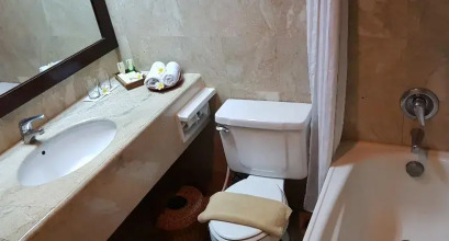 Hotel Puri Bambu