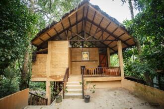 Jungle Village