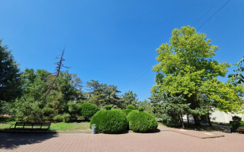 Mechta Hotel, фото 161