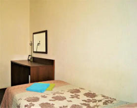 Otel' Pushkinskaya 11, фото 61