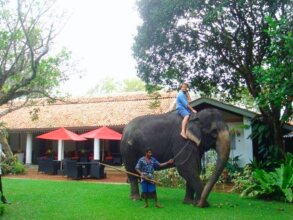 The Wallawwa