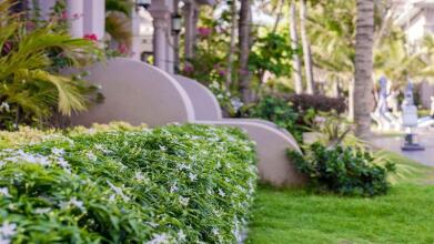 Le Viva Mui Ne Resort
