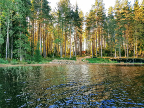 Black Fox Resort, фото 109