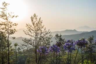 Goatfell Nuwara-Eliya