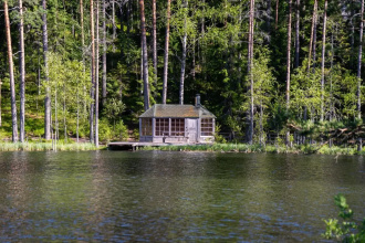 Шишки на Лампушке — Finnish Kalevala, фото 70