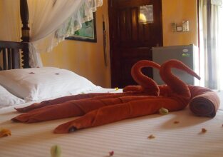 Hotel Flower Garden