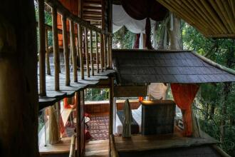 Bambu Indah