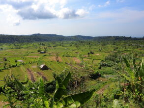 Mimpi Resort Tulamben
