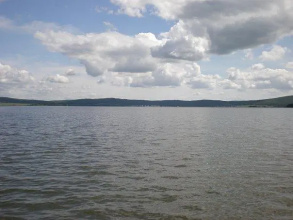 Лесная Сказка, фото 28
