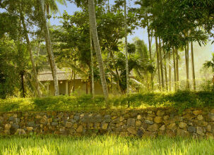 Ivory House