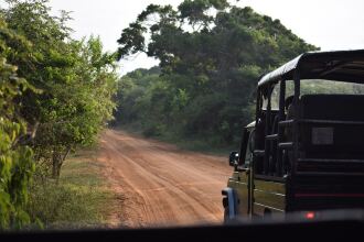 Jetwing Safari Camp - All Inclusive