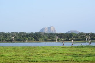 Jetwing Safari Camp - All Inclusive