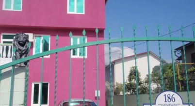 Лео Регул, фото 53