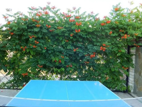 Tikhaya Gavan, фото 82