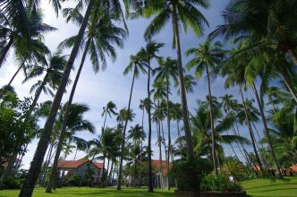 Muine Century Beach Resort & Spa
