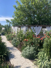 Villa Petra (Вилла Петра), фото 43