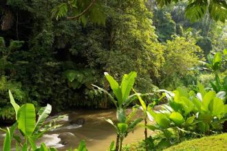 Mandapa, A Ritz-Carlton Reserve