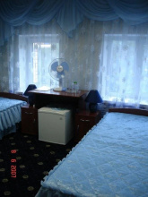 Зимородок, фото 38 Зимородок, фото 38