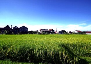 Frii Bali Echo Beach