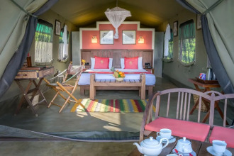 Madulkelle Tea And Eco Lodge