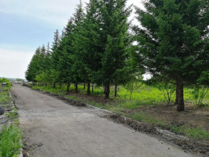 Антей, фото 10
