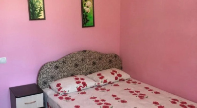 Guest House Alina, фото 98