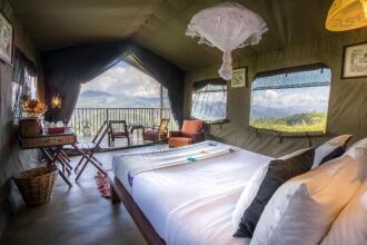 Madulkelle Tea And Eco Lodge